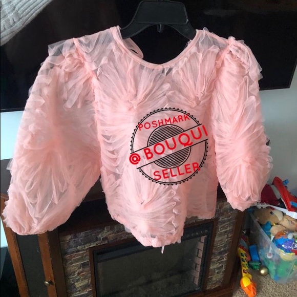 BLOGGERS FAVORITE ZARA PINK FLORAL TULLE TOP - Picture 2 of 8